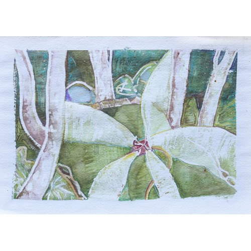 Backyard Springler Mossy Point  - Watercolour on paper